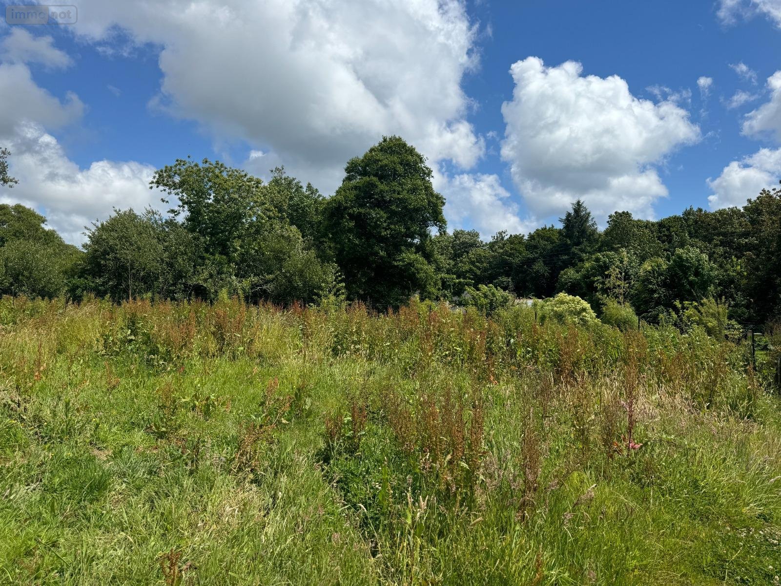 Terrain a batir a vendre Plougonvelin 29217 Finistère 516 m2  125500 euros
