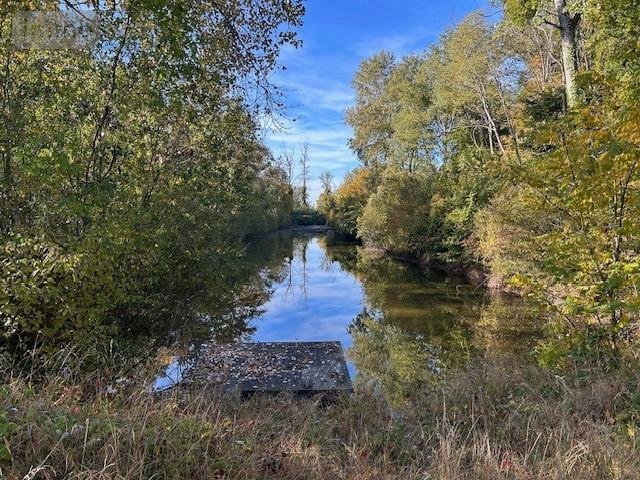Terrains de loisirs bois etangs a vendre Clérey 10390 Aube 6090 m2  63600 euros