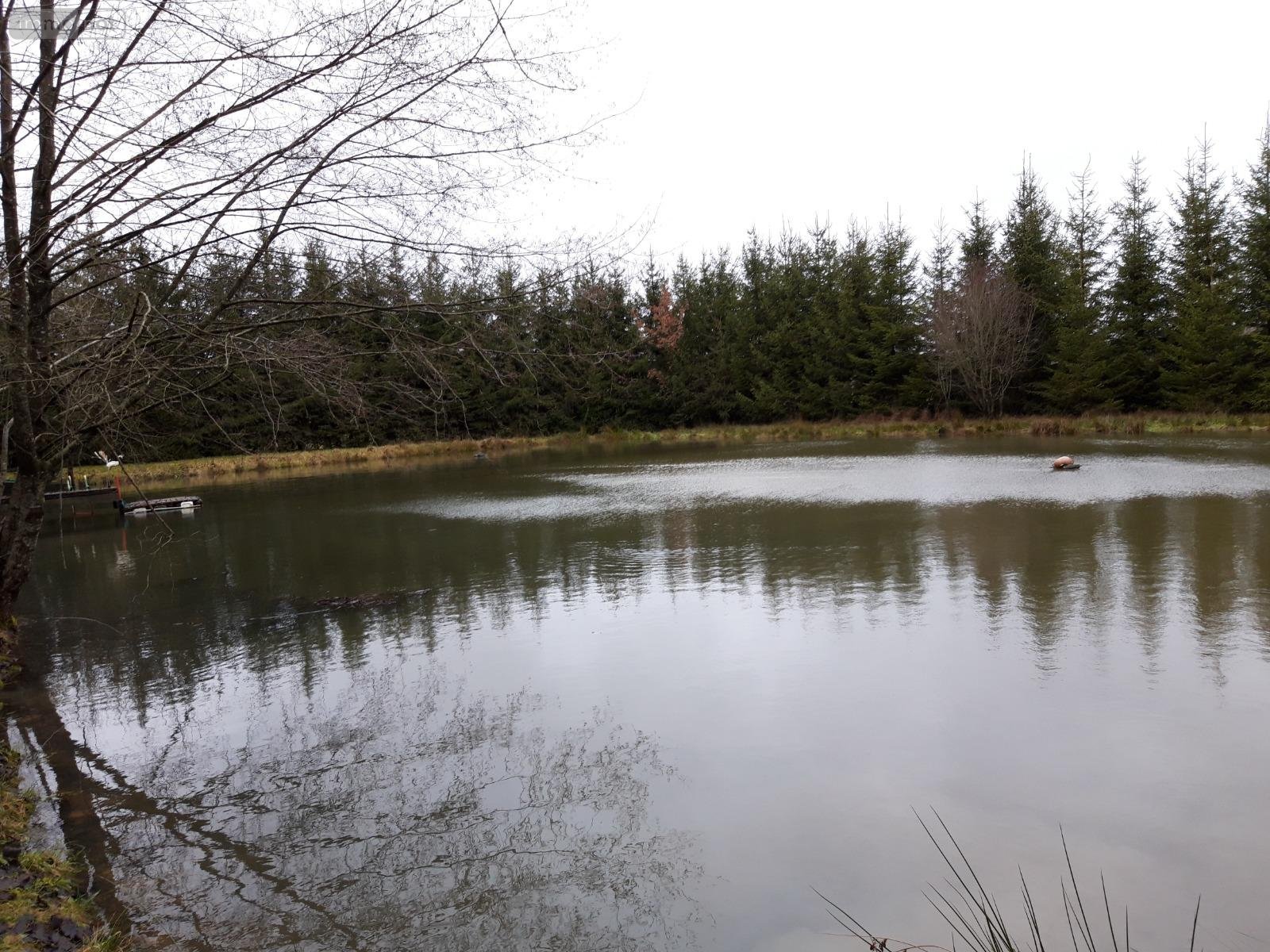 Terrains de loisirs bois etangs a vendre Le Baizil 51270 Marne 18750 m2  45000 euros