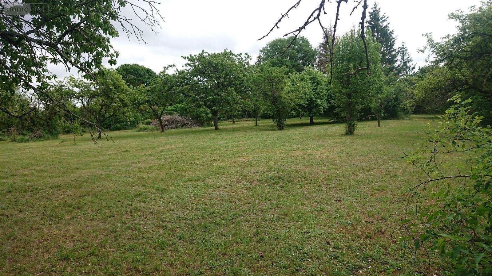 Terrain a batir a vendre Bayel 10310 Aube 2515 m2  33000 euros