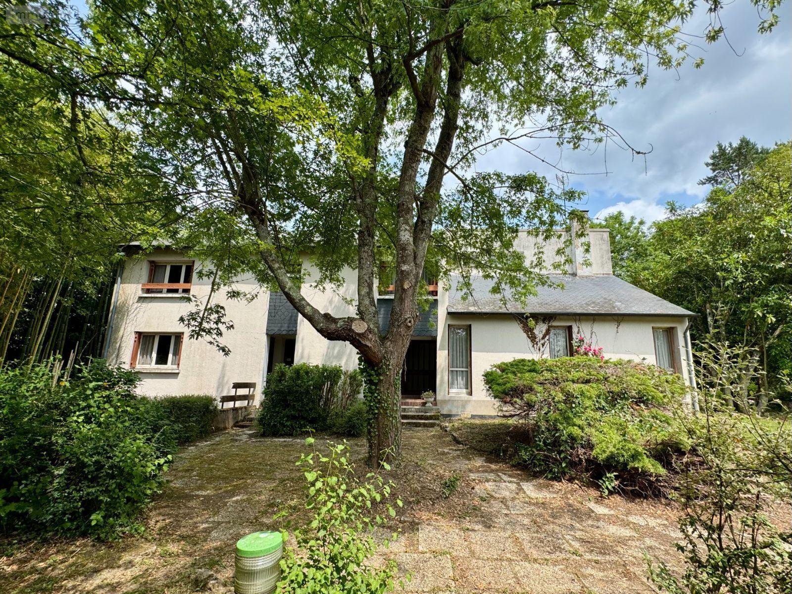 Maison a vendre Neuvy-Saint-Sépulchre 36230 Indre 250 m2 10 pièces 198000 euros