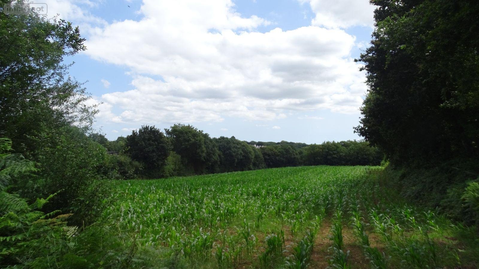 Terrain a batir a vendre Landivisiau 29400 Finistère 915 m2  81400 euros