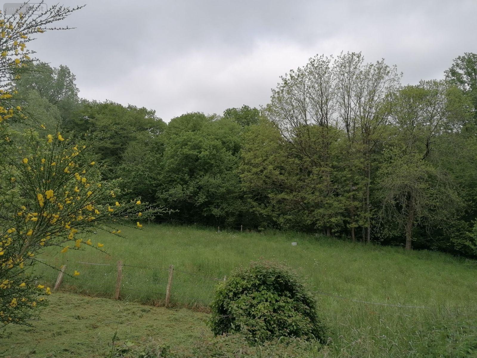 Terrain a batir a vendre Saint-Thurial 35310 Ille-et-Vilaine 2213 m2  56000 euros