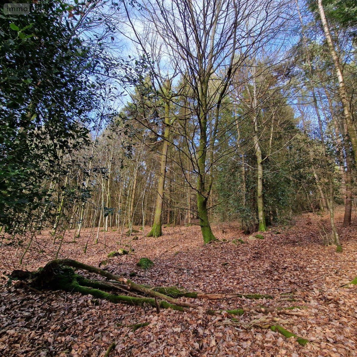 Terrains de loisirs bois etangs a vendre Rives-d'Andaine 61140 Orne 48797 m2  156000 euros