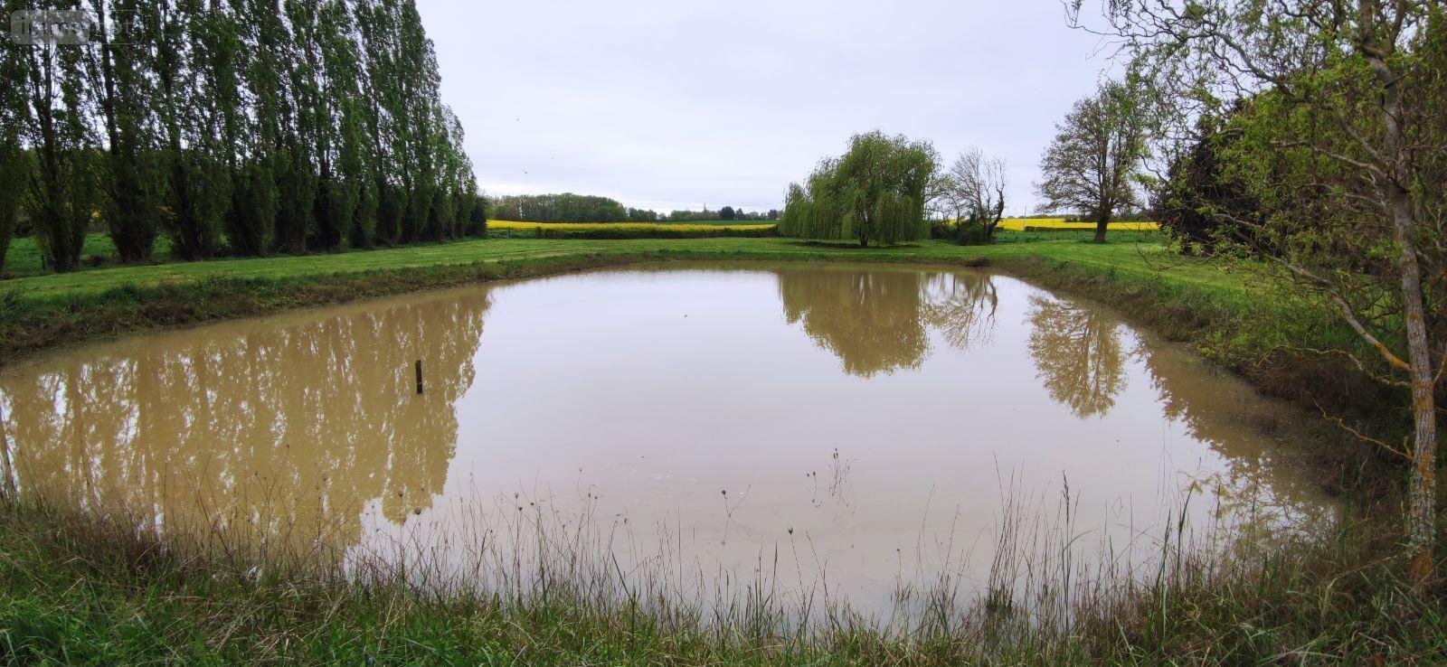 Terrains de loisirs bois etangs a vendre Genouilly 18310 Cher 13150 m2  14800 euros