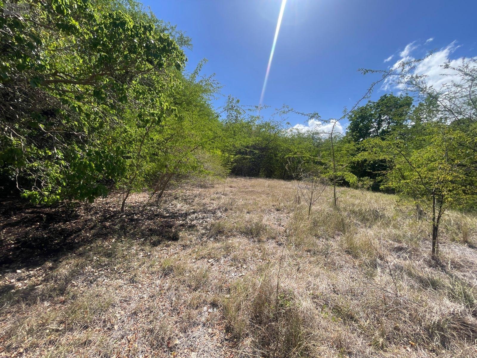 Terrain a batir a vendre Le Gosier 97190 Guadeloupe 15000 m2  239000 euros