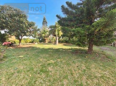 Terrain a batir a vendre Saint-Paul 97460 Réunion 473 m2  243900 euros