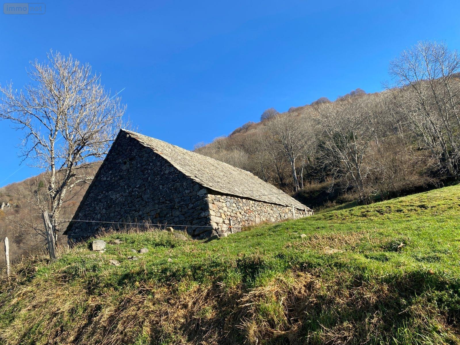 Maison a vendre Le Vaulmier 15380 Cantal 300 m2  84800 euros