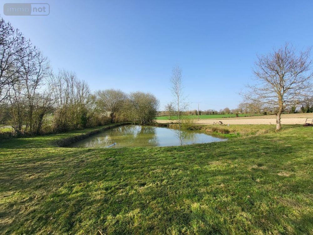 Terrains de loisirs bois etangs a vendre Le Ribay 53640 Mayenne 1881 m2  14000 euros