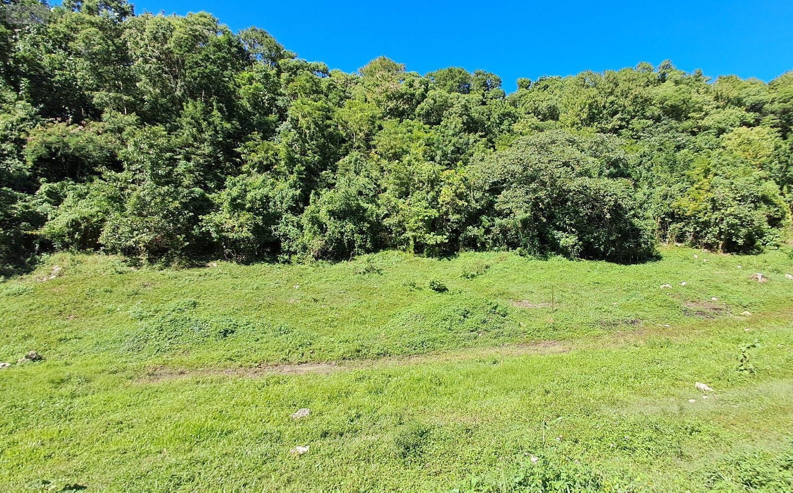 Terrain a batir a vendre Le Gosier 97190 Guadeloupe 2573 m2  206500 euros