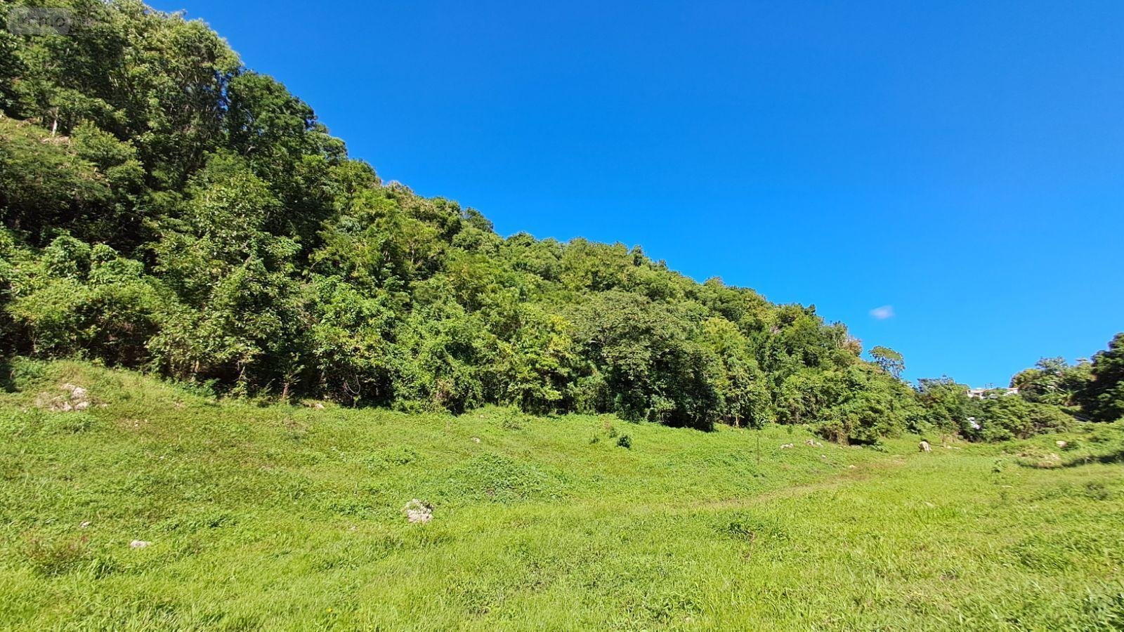 Terrain a batir a vendre Le Gosier 97190 Guadeloupe 3013 m2  161500 euros