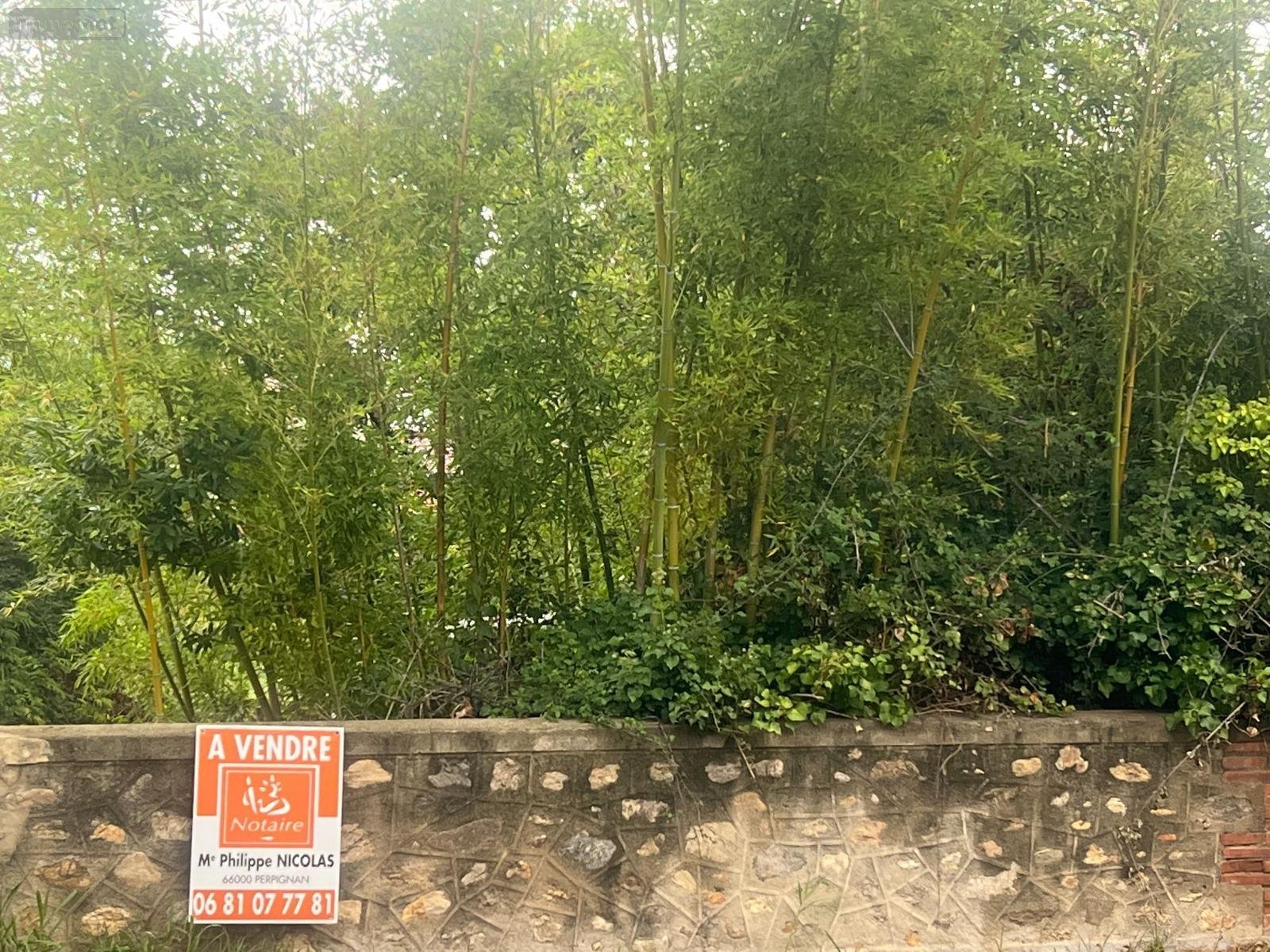 Terrain a batir a vendre Saint-Génis-des-Fontaines 66740 Pyrénées-Orientales 1200 m2  299000 euros