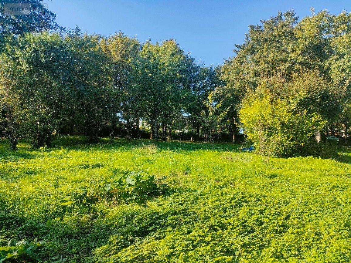 Terrain a batir a vendre Niort 79000 Deux-Sèvres 1470 m2  137680 euros