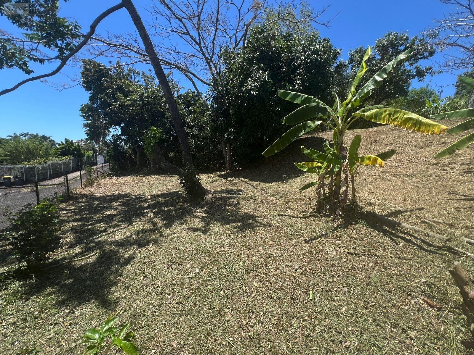 Terrain a batir a vendre La-Montagne 97417 Réunion 516 m2  149800 euros