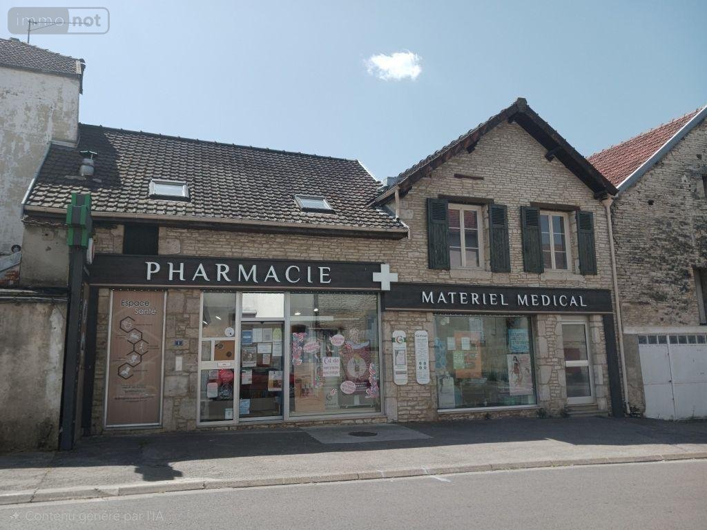 Fonds et murs commerciaux a vendre Mussy-sur-Seine 10250 Aube 119 m2  90000 euros