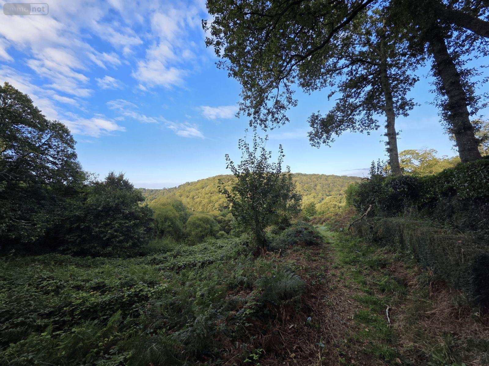 Terrains de loisirs bois etangs a vendre Kernével 29140 Finistère 226898 m2  128000 euros
