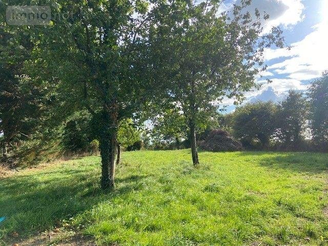 Terrain a batir a vendre Ruffigné 44660 Loire-Atlantique 1460 m2  24280 euros