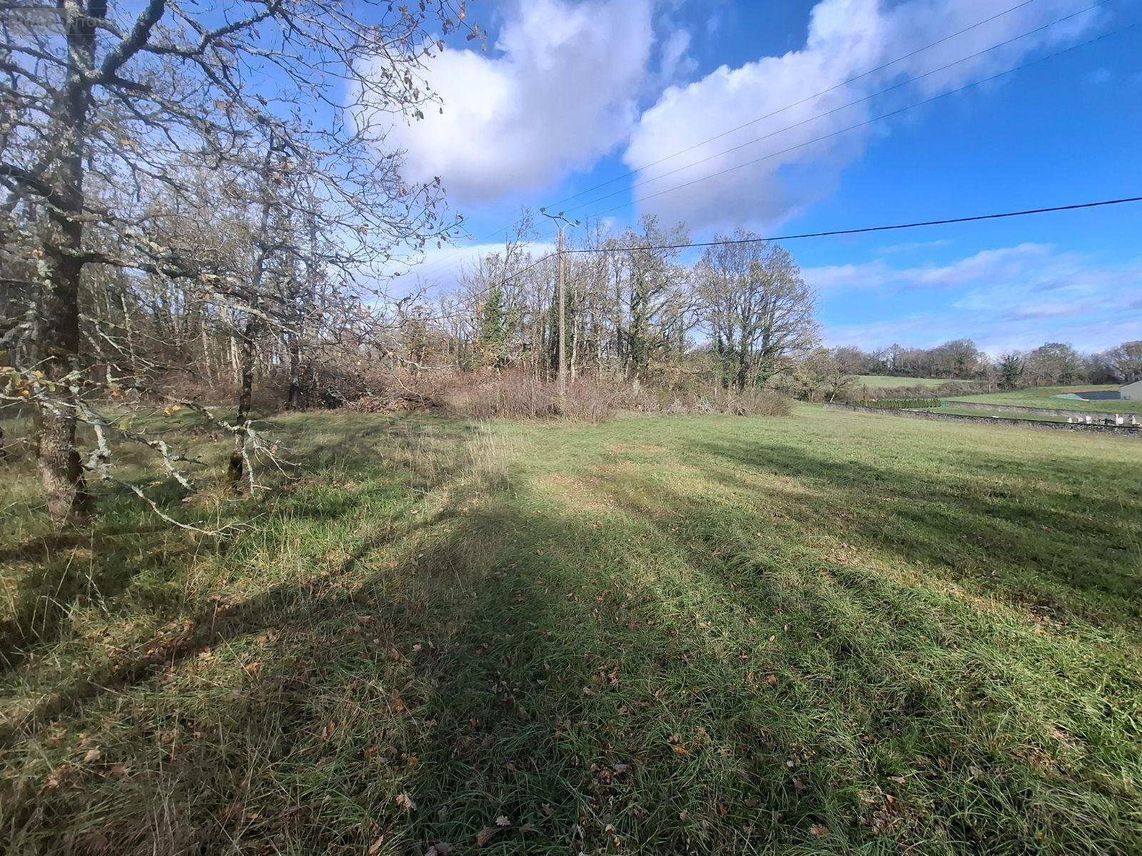 Terrain a batir a vendre Nadaillac 24590 Dordogne 12100 m2  48500 euros