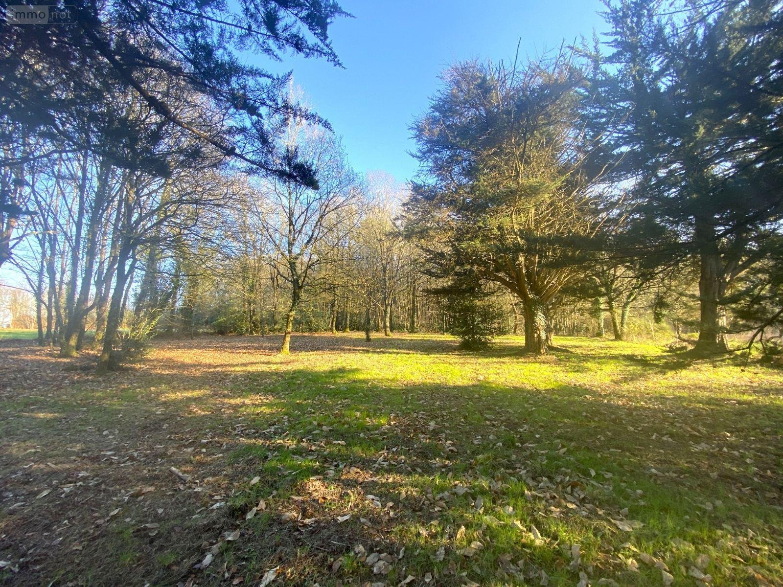 Terrains de loisirs bois etangs a vendre Goven 35580 Ille-et-Vilaine 3898 m2  8000 euros