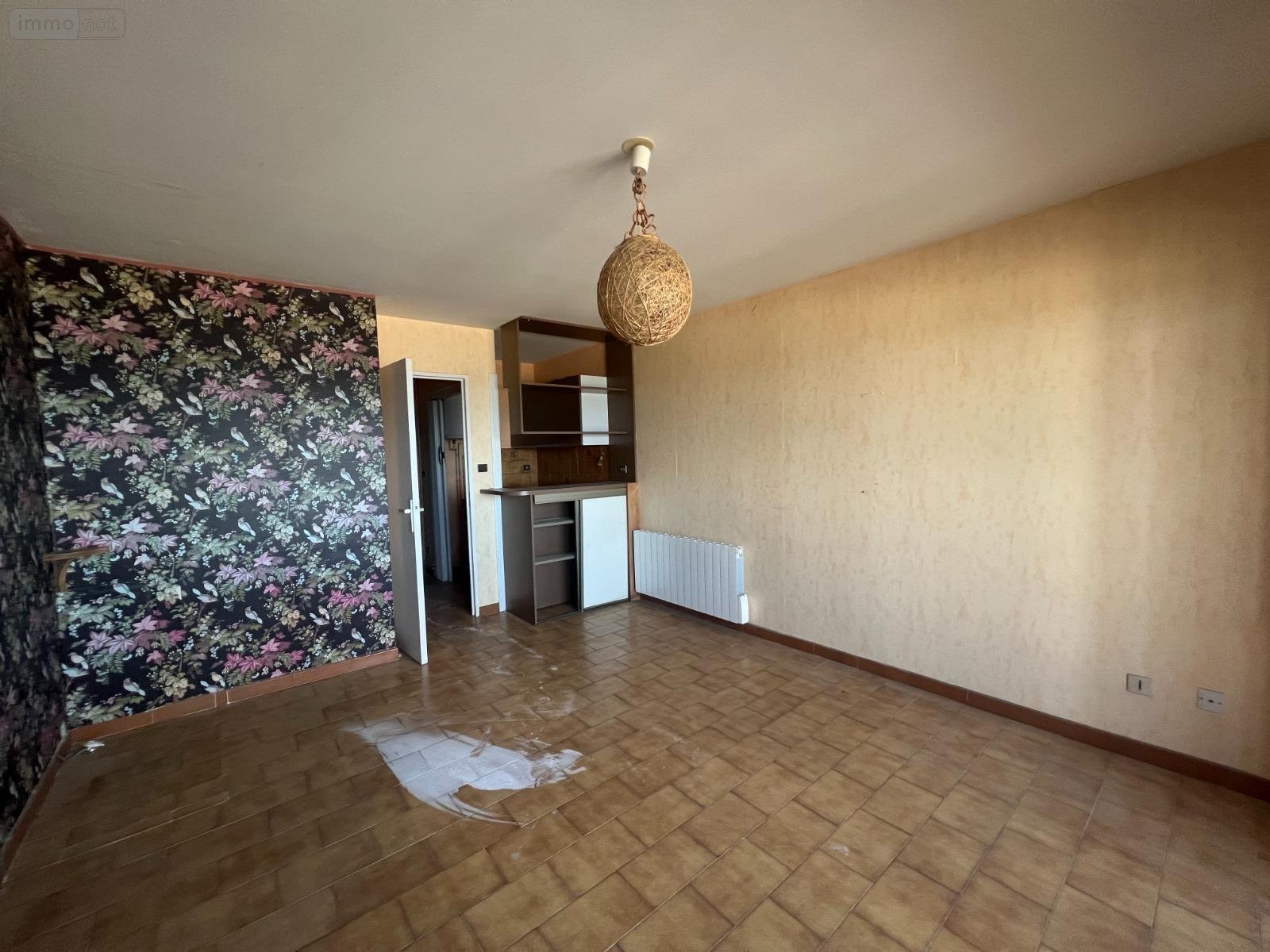 Appartement a vendre Canet-en-Roussillon 66140 Pyrénées-Orientales 28 m2 1 pièce 75000 euros