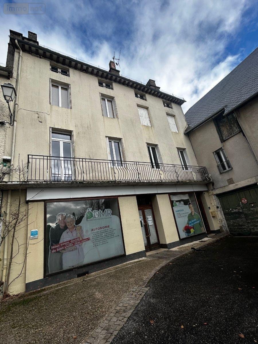 Immeuble a vendre Pleaux 15700 Cantal 200 m2  135680 euros