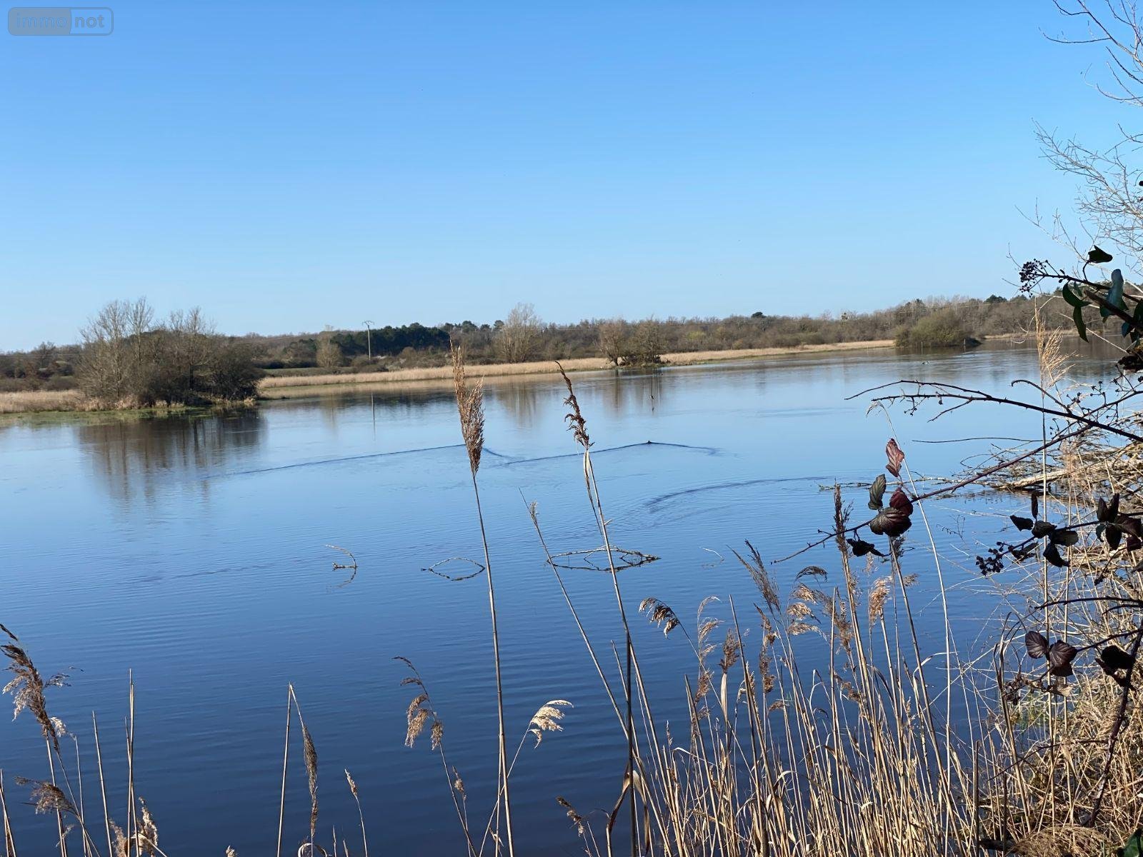 Terrains de loisirs bois etangs a vendre Lingé 36220 Indre 139626 m2  276800 euros