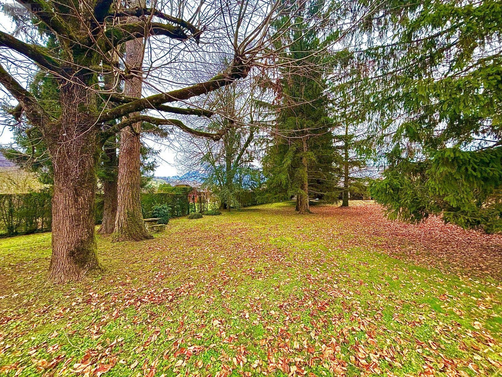 propriete a vendre Villard-Léger 73390 Savoie 390 m2 9 pièces 1275000 euros