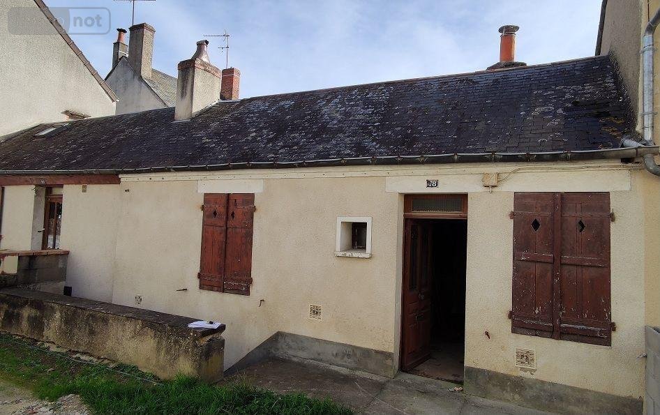 Maison a vendre Mehun-sur-Yèvre 18500 Cher 29 m2 3 pièces 19800 euros