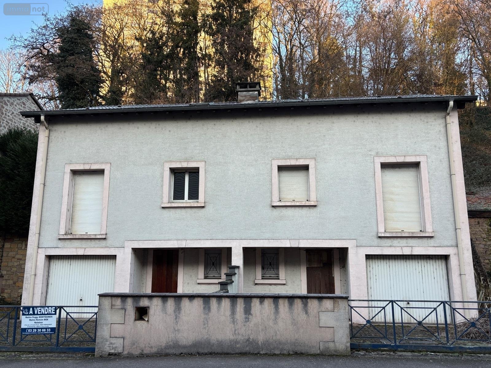 Immeuble a vendre Épinal 88000 Vosges 228 m2  241160 euros