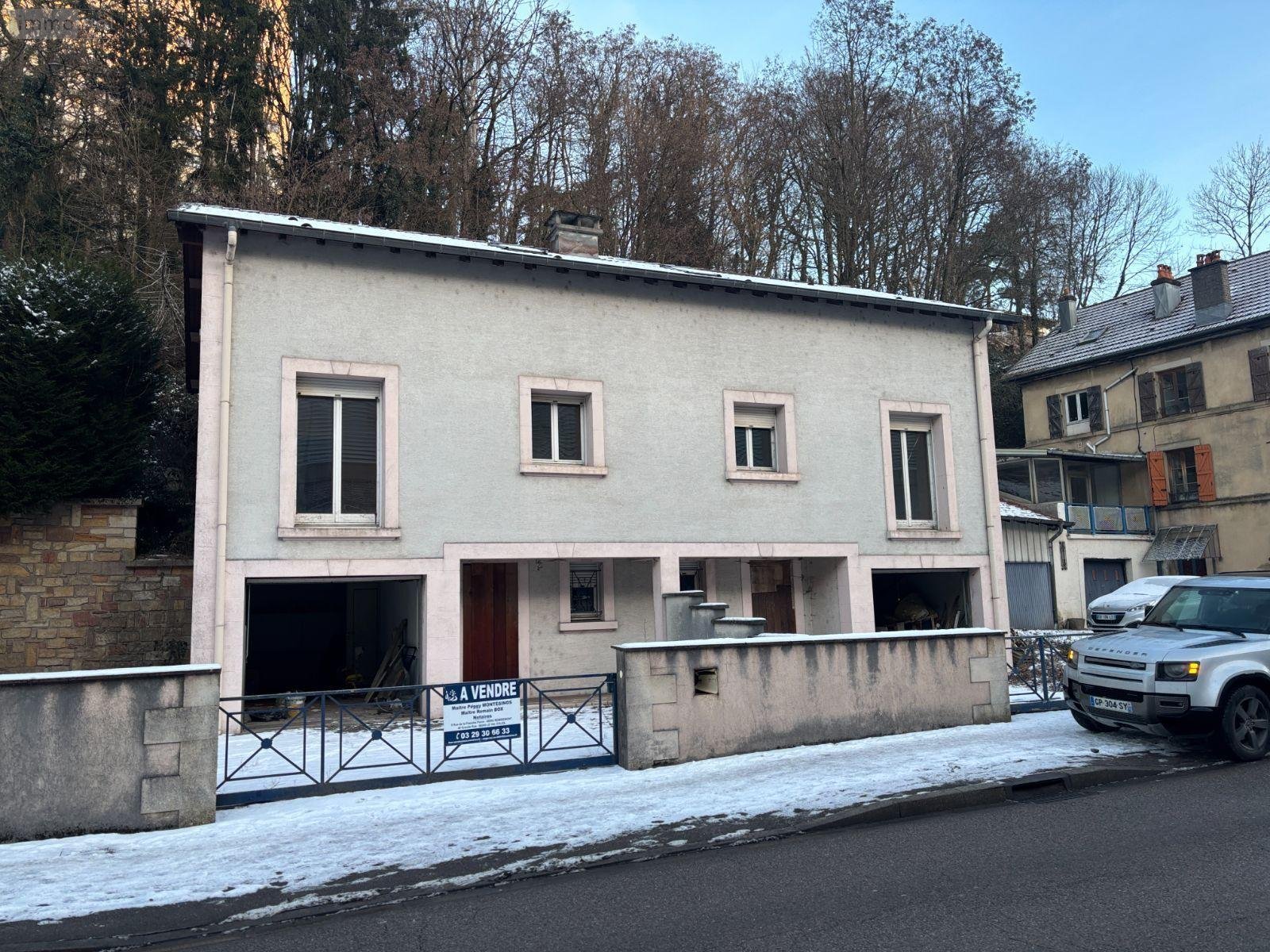 Immeuble a vendre Épinal 88000 Vosges 228 m2  241160 euros