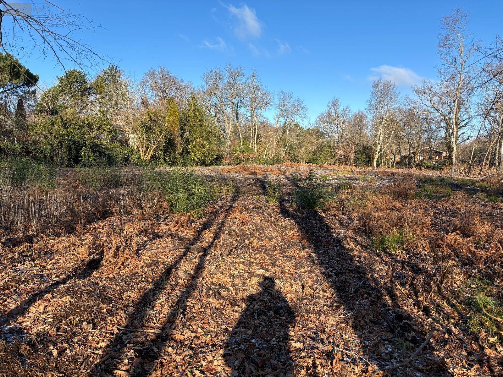 Terrain a batir a vendre Blanquefort 33290 Gironde 5238 m2  364250 euros