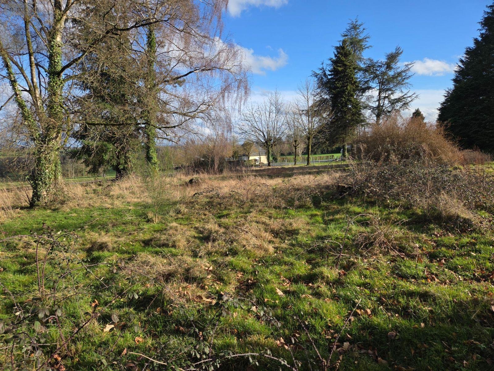 Terrain a batir a vendre Saint-Georges-Buttavent 53100 Mayenne 1000 m2  20500 euros