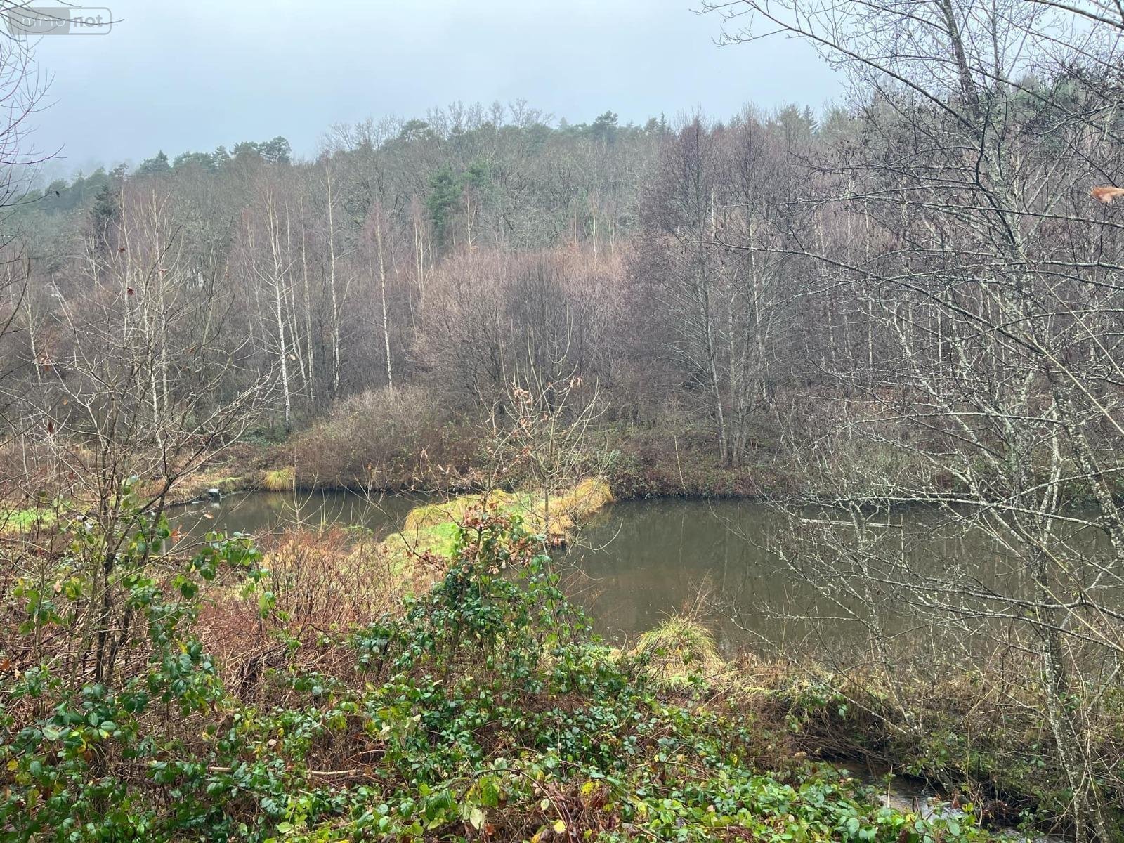 propriete a vendre Épinal 88000 Vosges 24071 m2  335000 euros