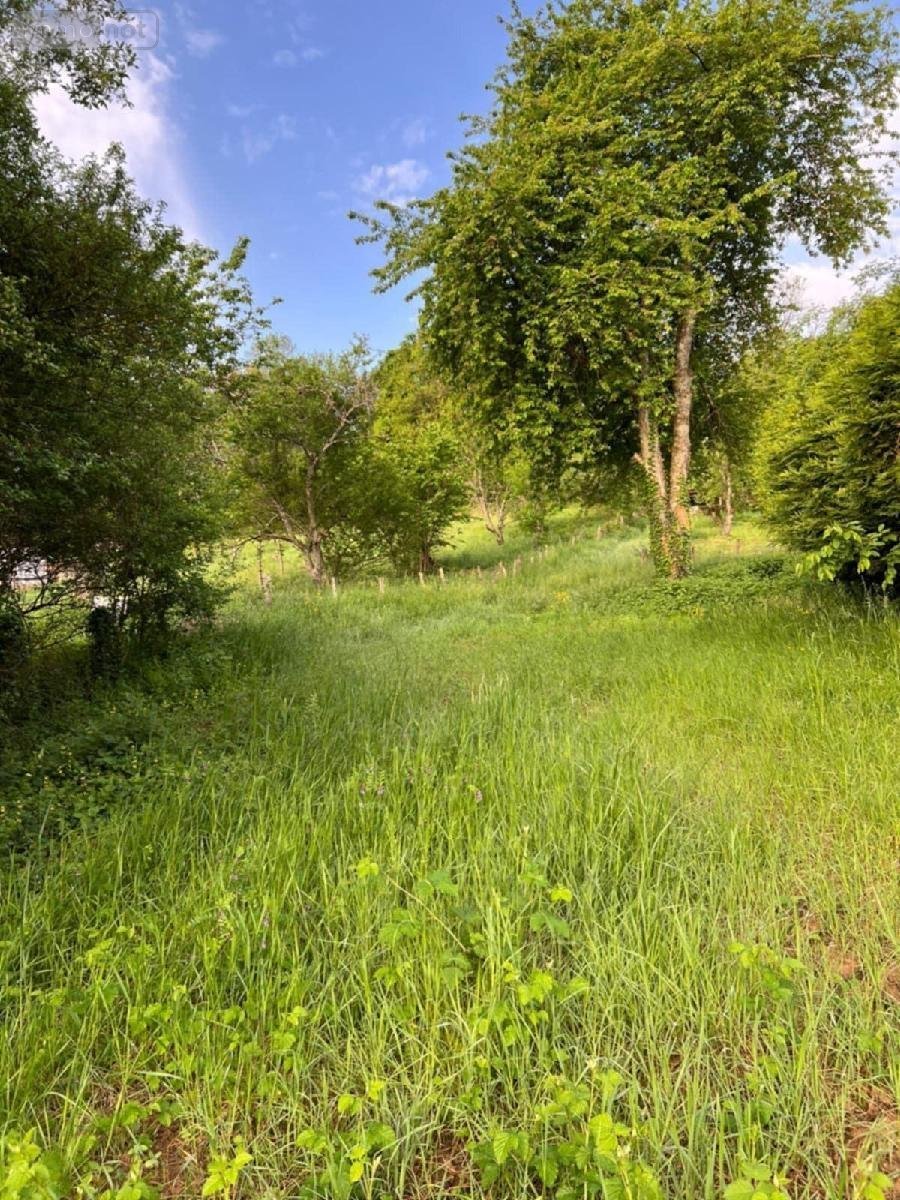 Terrain a batir a vendre Quincey 70000 Haute-Saône 1880 m2  57500 euros