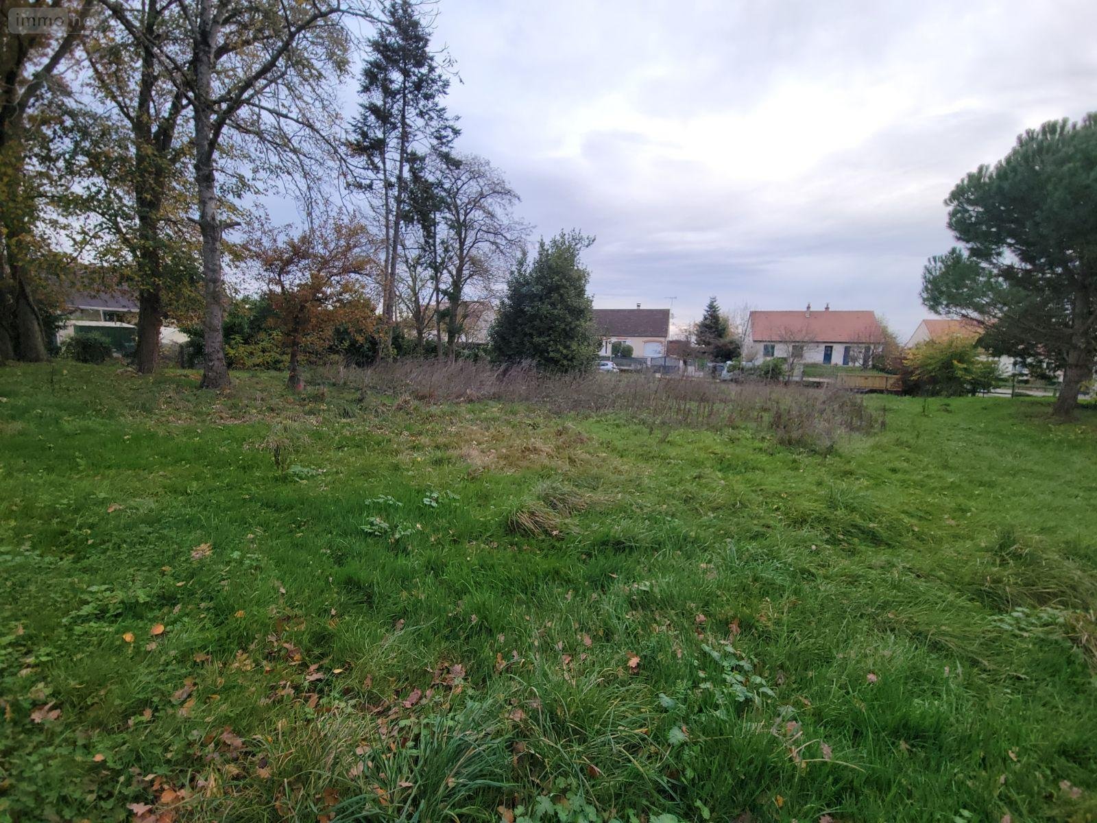 Terrain a batir a vendre Montigny-le-Gannelon 28220 Eure-et-Loir 5727 m2  55000 euros