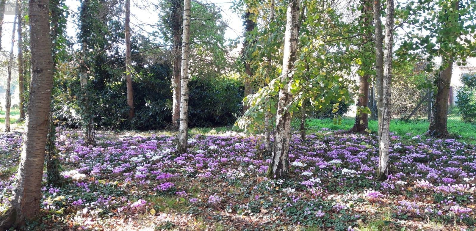 Terrain a batir a vendre Montigny-le-Gannelon 28220 Eure-et-Loir 5727 m2  42000 euros