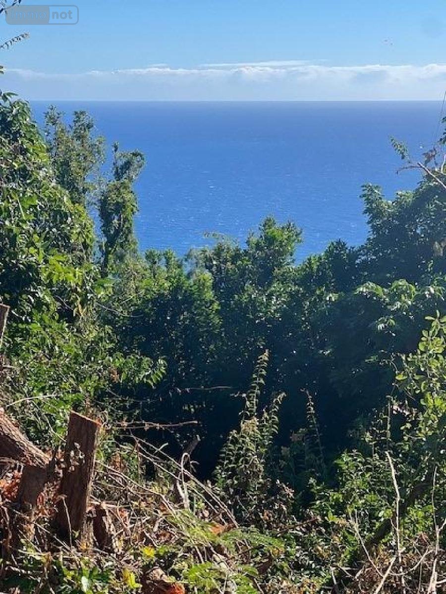 Terrain a batir a vendre Saint-Denis 97400 Réunion 1640 m2  516000 euros