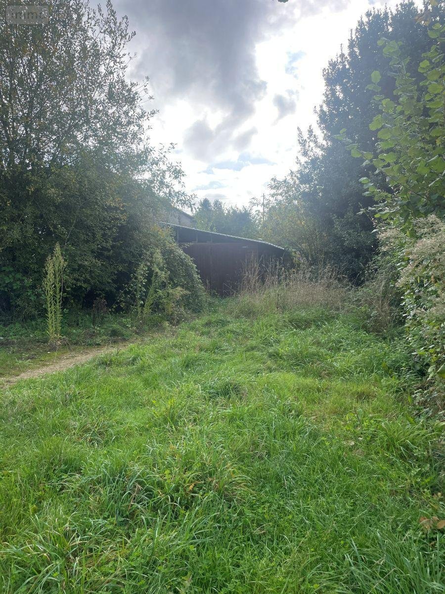 Terrains de loisirs bois etangs a vendre Bais 53160 Mayenne 167 m2  1240 euros