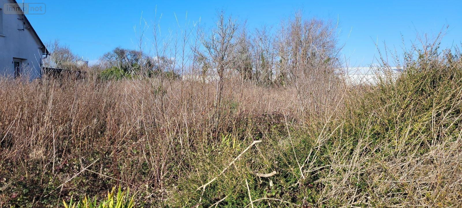 Terrain a batir a vendre Camaret-sur-Mer 29570 Finistère 356 m2  38000 euros