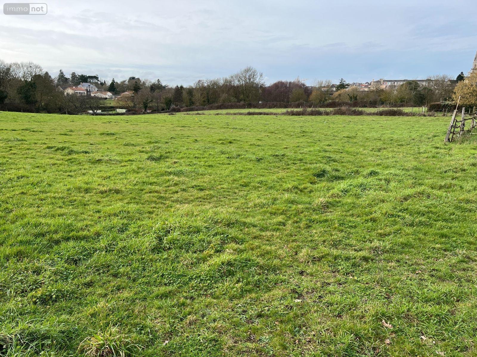 Terrain a batir a vendre Chemillé-en-Anjou 49120 Maine-et-Loire 542 m2  66000 euros