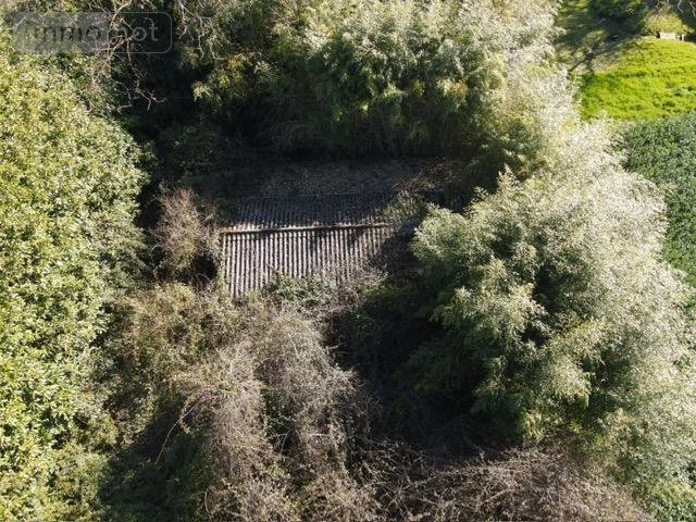 Maison a vendre Ports sur Vienne 37800 Indre-et-Loire 70 m2 4 pièces 19500 euros