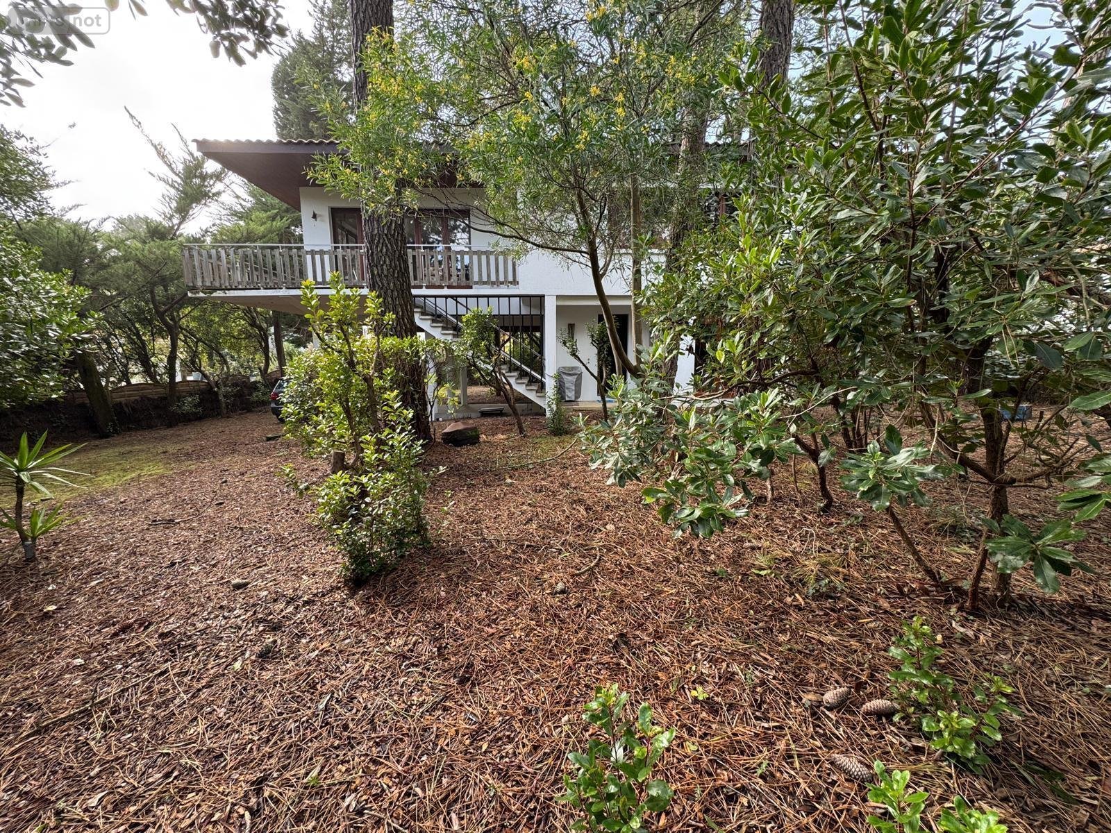 Maison a vendre Lège-Cap-Ferret 33950 Gironde 100 m2 5 pièces 976500 euros