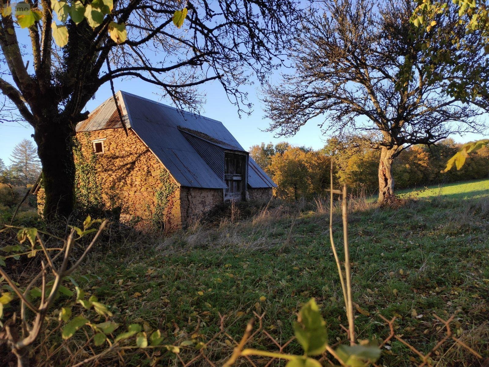 Divers a vendre Pleaux 15700 Cantal  42400 euros