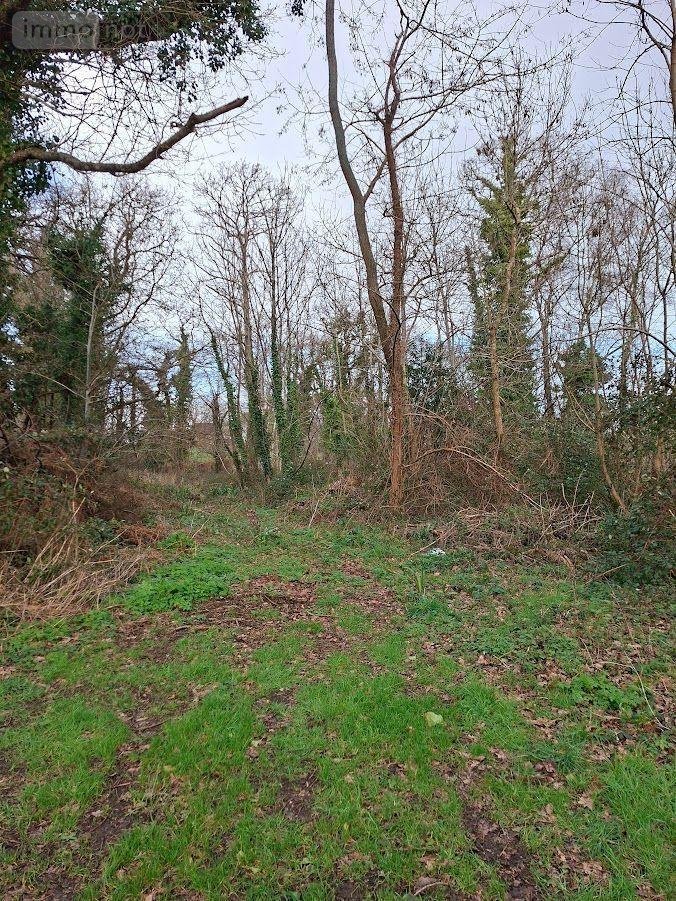 Terrains de loisirs bois etangs a vendre Clohars-Carnoët 29360 Finistère 6204 m2  11800 euros