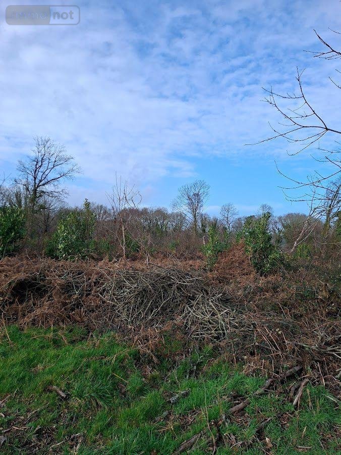 Terrains de loisirs bois etangs a vendre Clohars-Carnoët 29360 Finistère 61717 m2  52950 euros