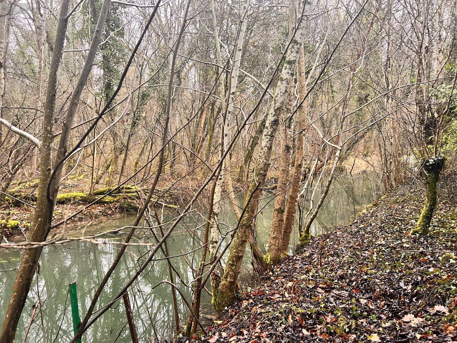 Terrains de loisirs bois etangs a vendre Villedieu 21330 Côte-d'Or 1266 m2  16200 euros