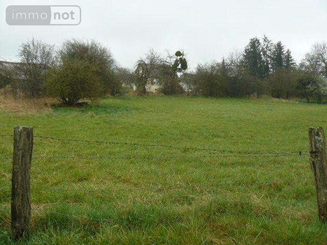 Terrain a batir a vendre Domèvre-sur-Durbion 88330 Vosges 883 m2  23000 euros