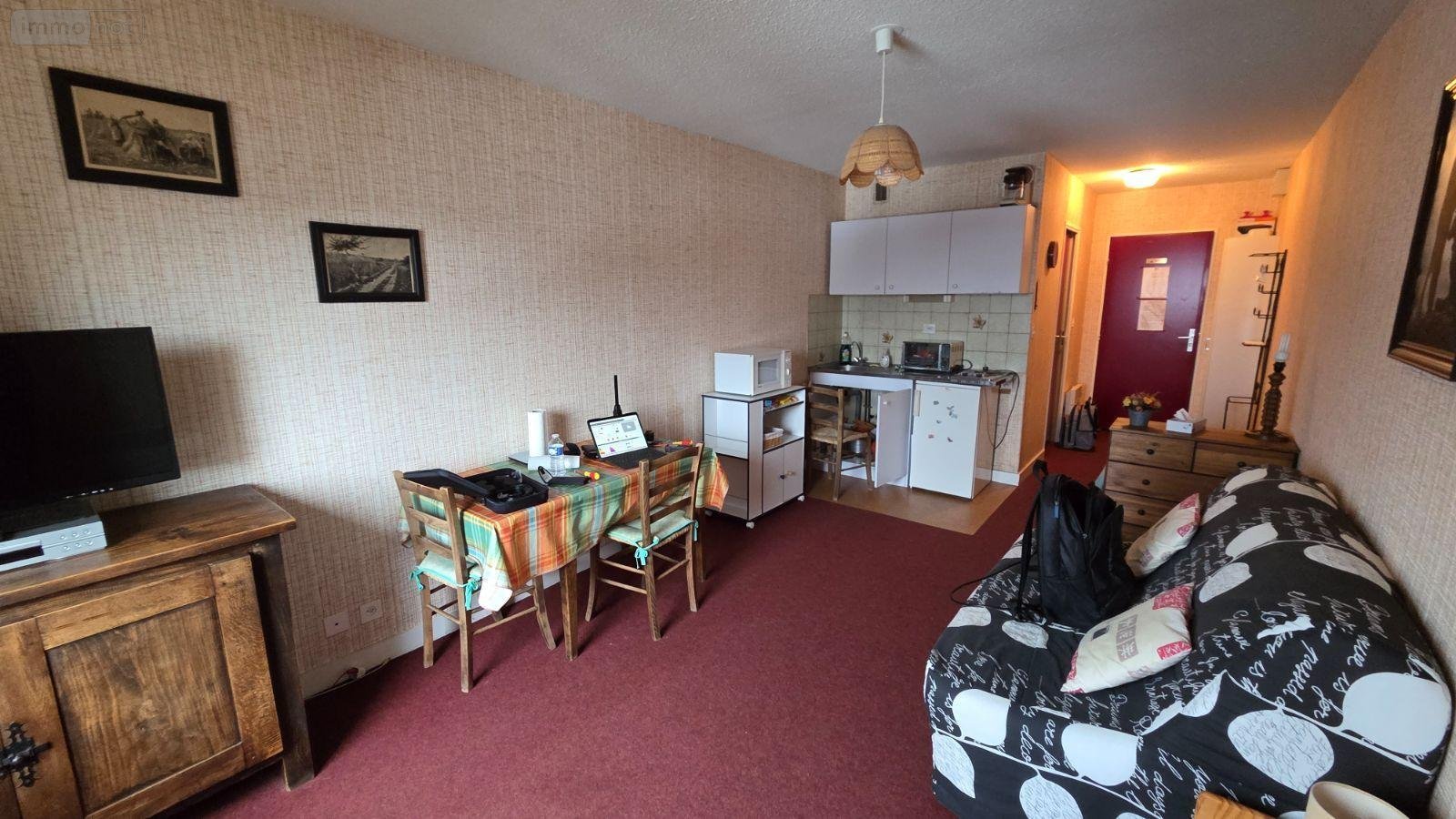 Appartement a vendre Laveissière 15300 Cantal 23 m2  46200 euros