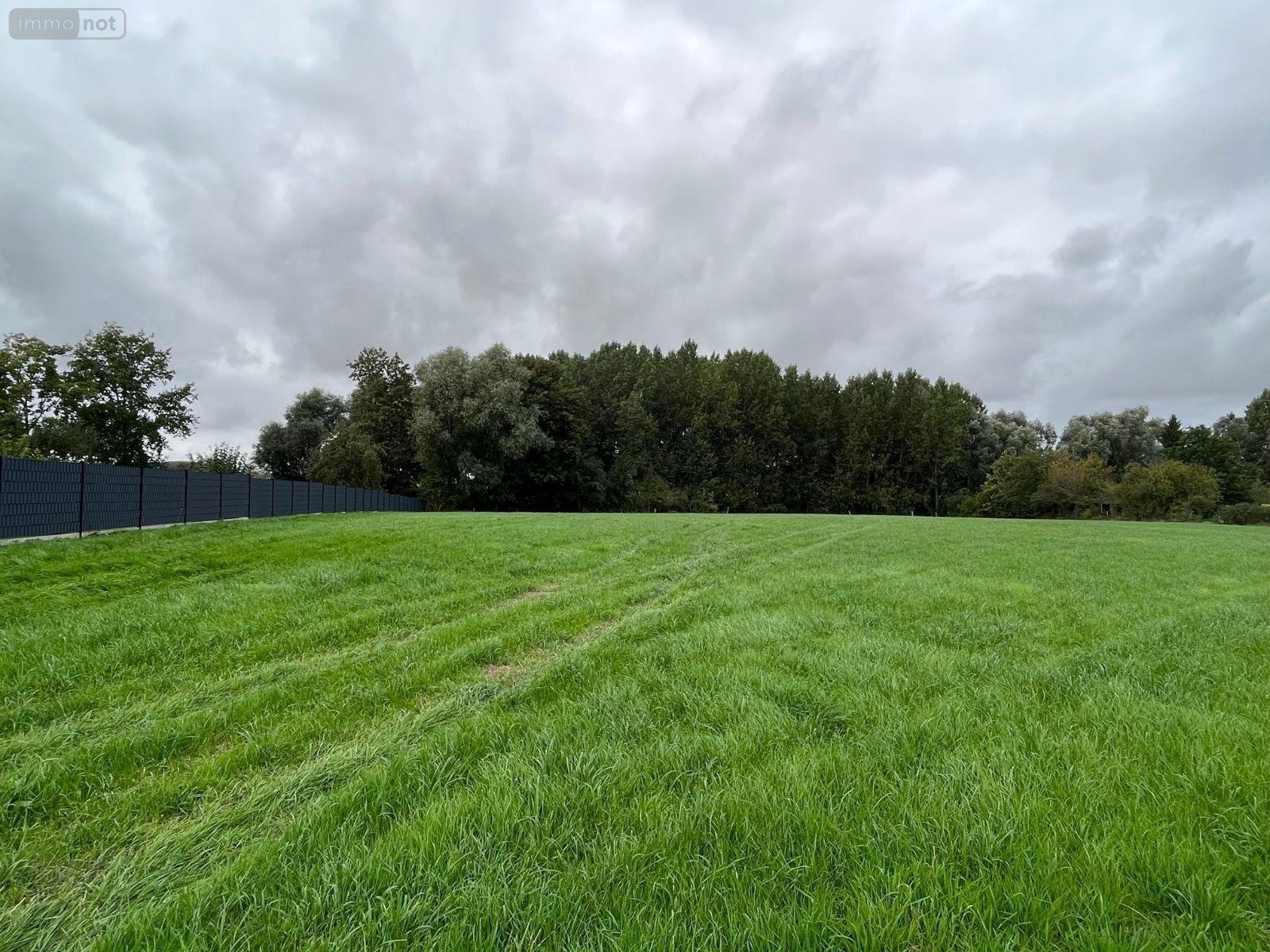 Terrain a batir a vendre Esquelbecq 59470 Nord 1478 m2  132500 euros