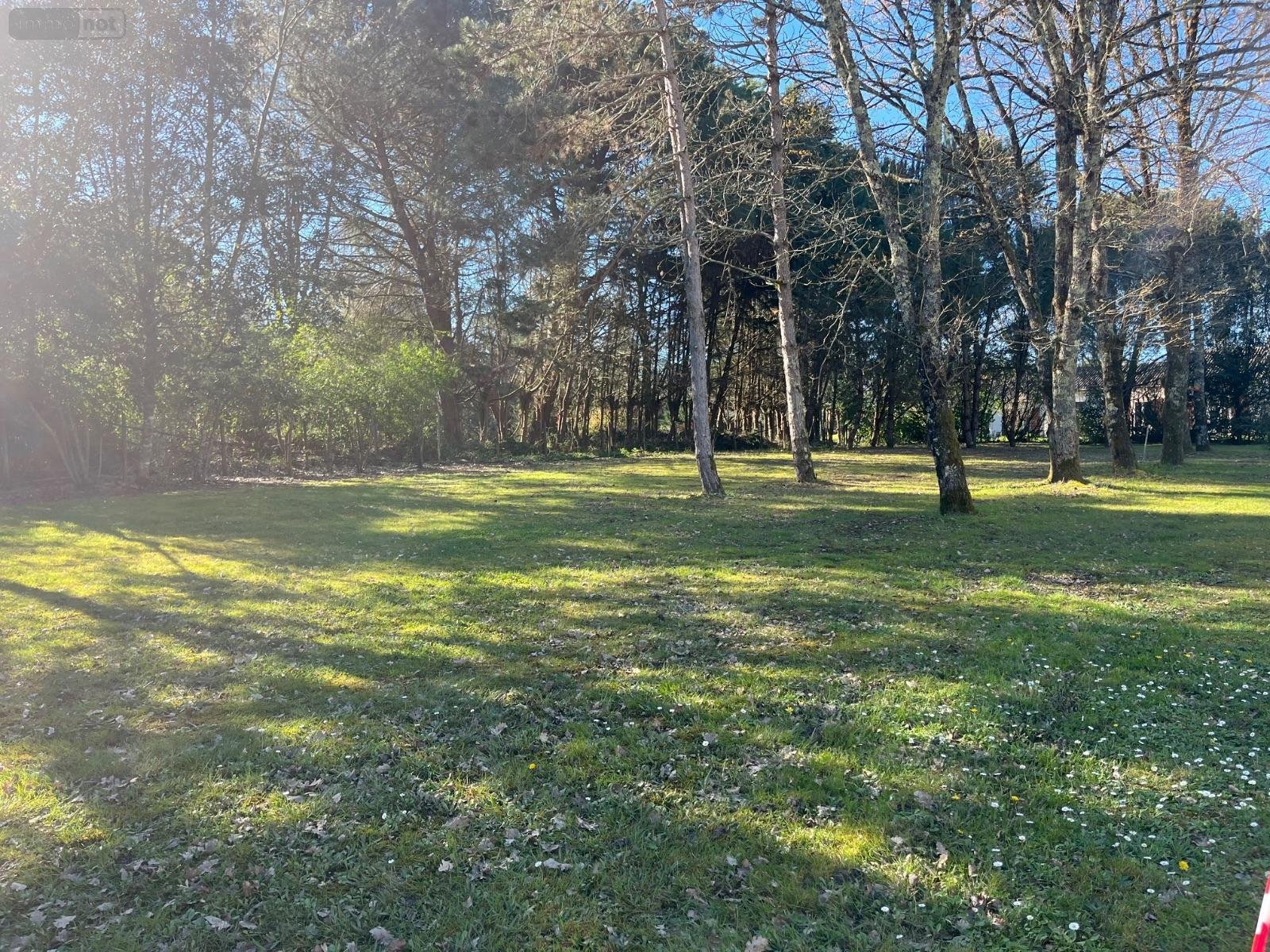 Terrain a batir a vendre Galgon 33133 Gironde 1261 m2  95400 euros